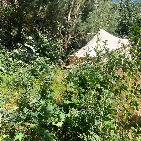 Bell Tent Boven Duin * 't Horntje