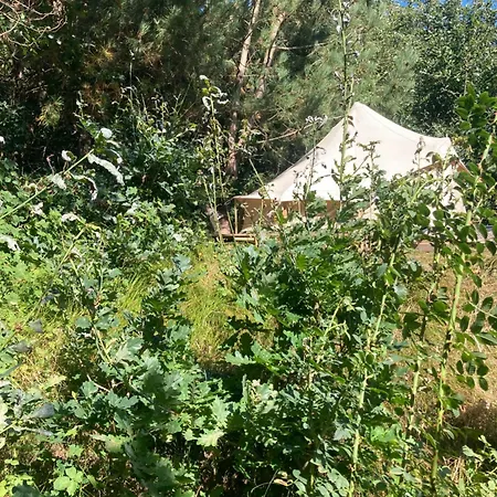 Bell Tent Boven Duin * 't Horntje